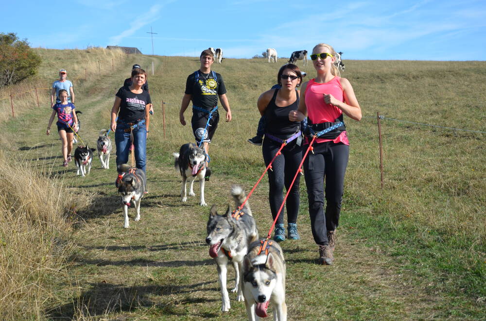 Tour E   Huskywanderung 1-2h, Gesamtdauer 3h