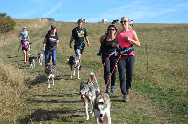 Tour E   Huskywanderung 1-2h, Gesamtdauer 3h